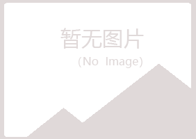 田东县绿海造纸有限公司